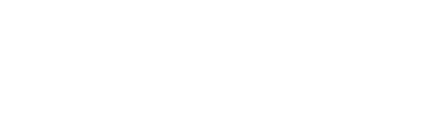 light logo
